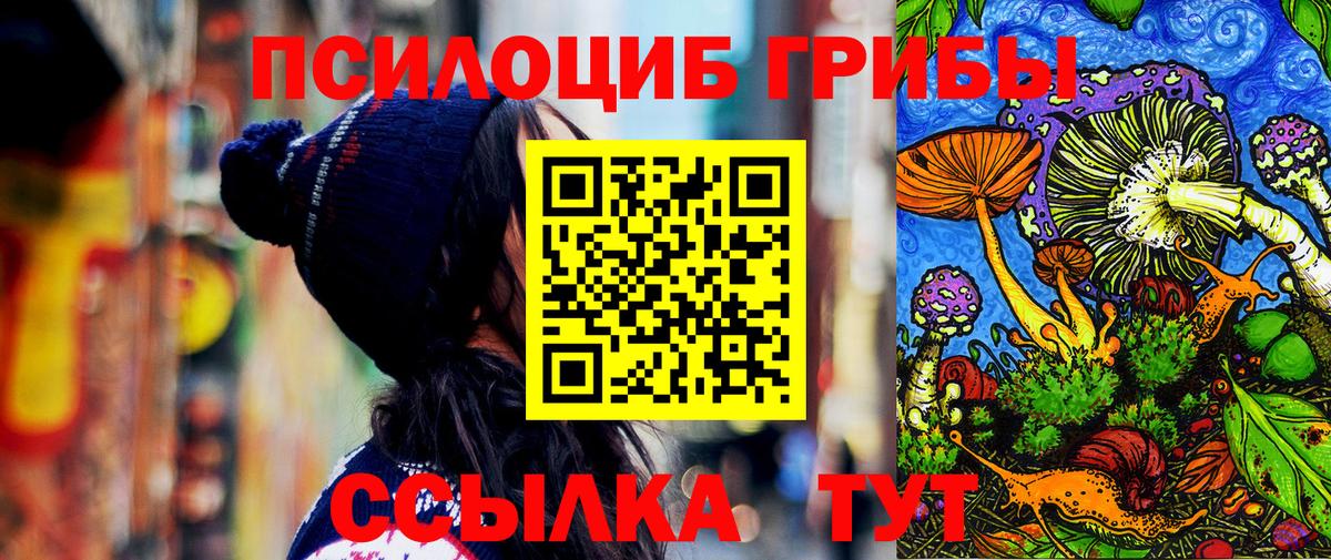 Галлюциногенные грибы Cubensis Котлас