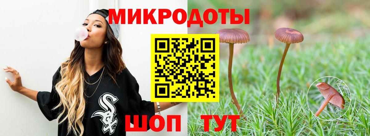 Котлас  Галлюциногенные грибы прущие грибы  Вход с VPN 